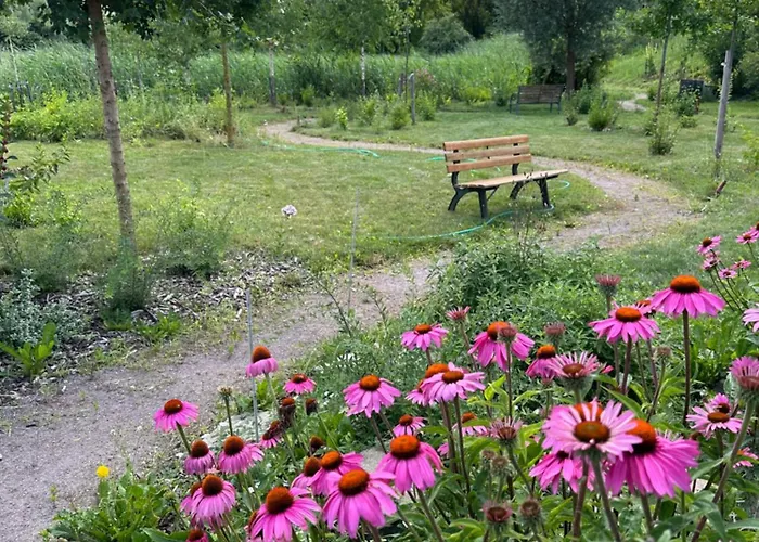 Frajarka Guest house Sedlec (Breclav)